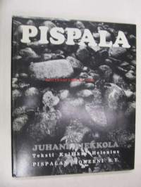 Pispala -kuvateos