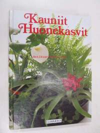 Kauniit huonekasvit