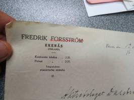 Fredrik Forsström, Ekenäs 13.8.1921 -asiakirja