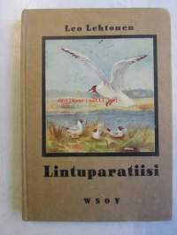 Lintuparatiisi pääkaupungin liepeillä : Vanhankaupunginlahti ja sen linnusto.